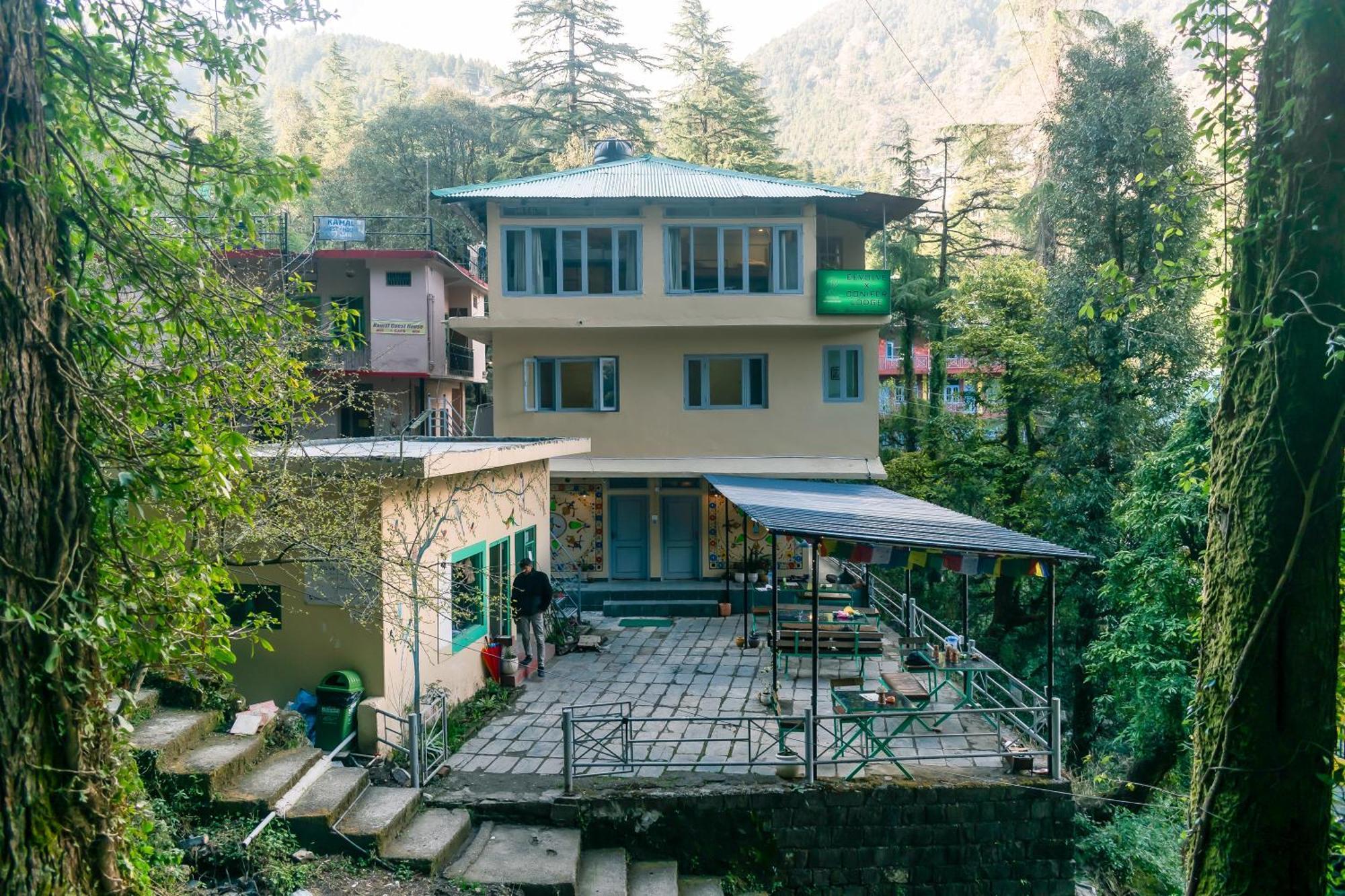 Eevolve Dharamkot - An Eco Hostel McLeod Ganj Buitenkant foto